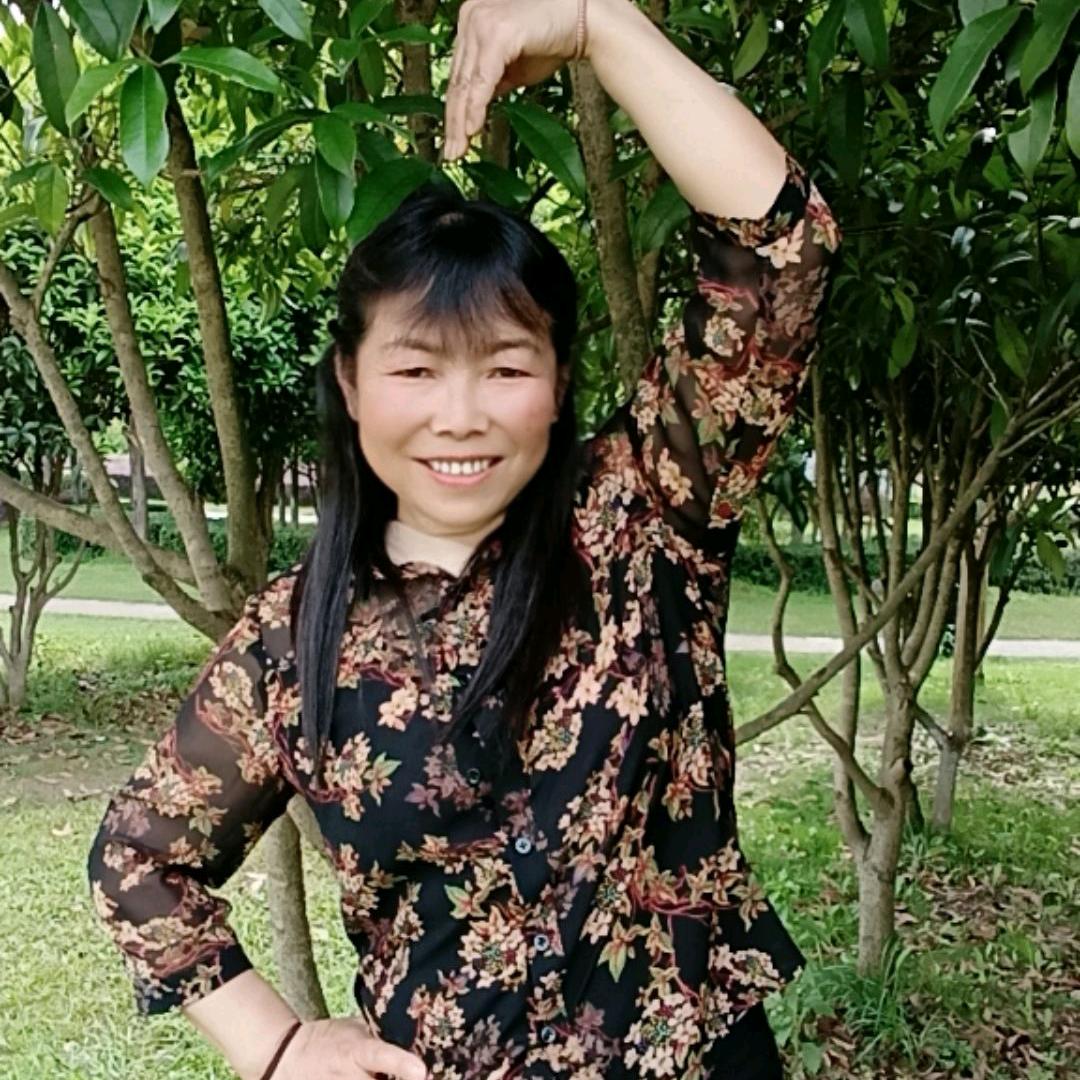 懂个毛线