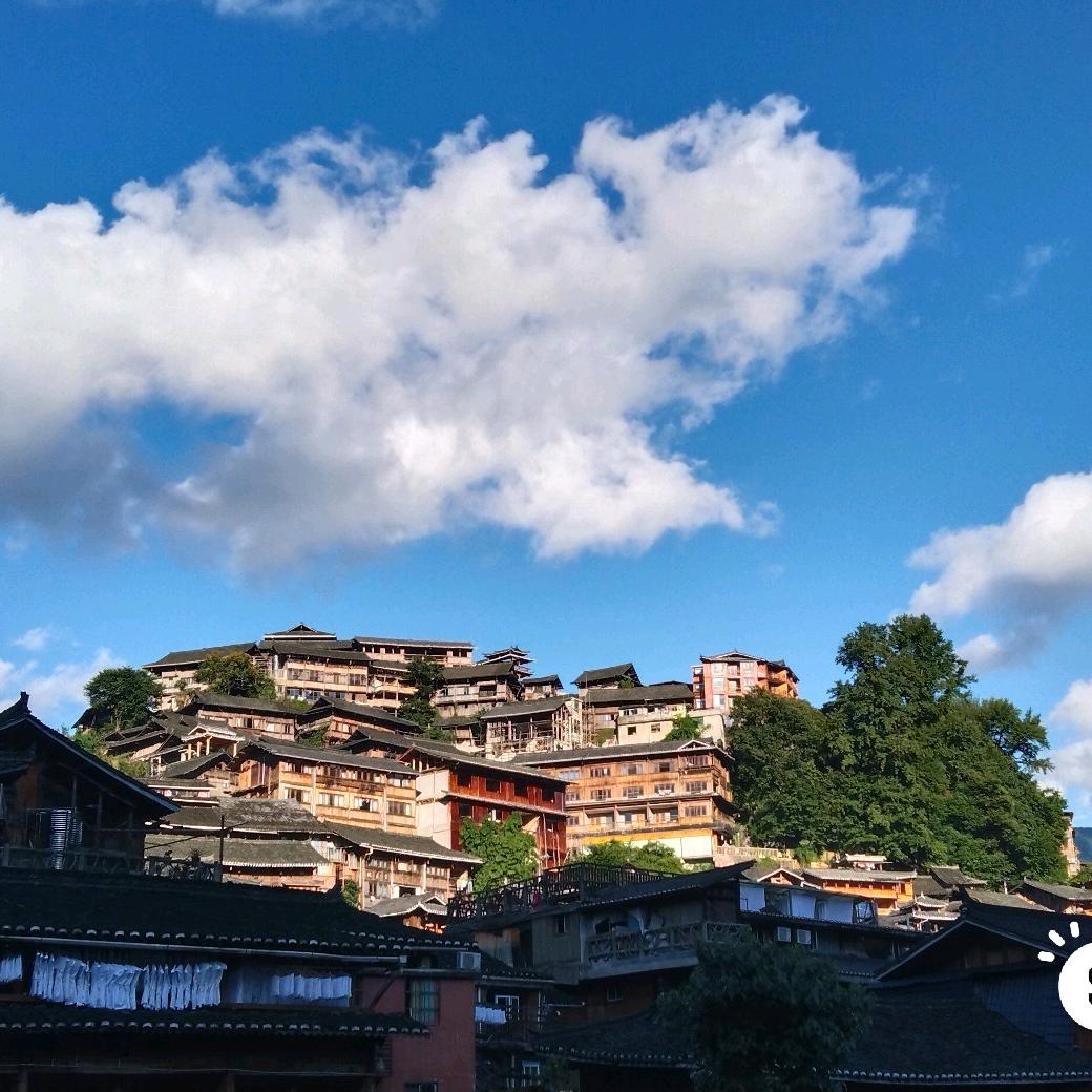 朝如青丝暮成雪。