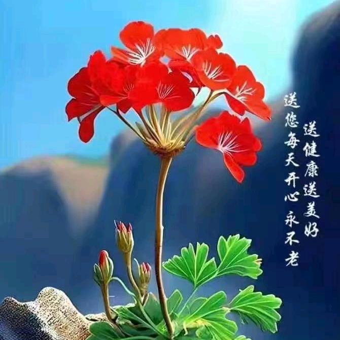 达子香