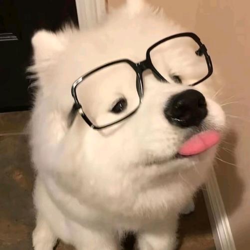 懒佳