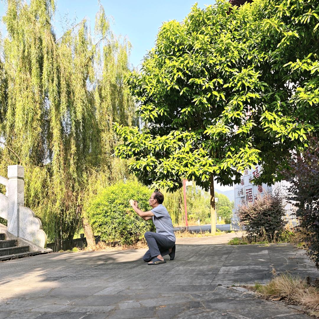 象的传奇