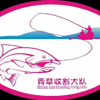 青草收割大队-武汉