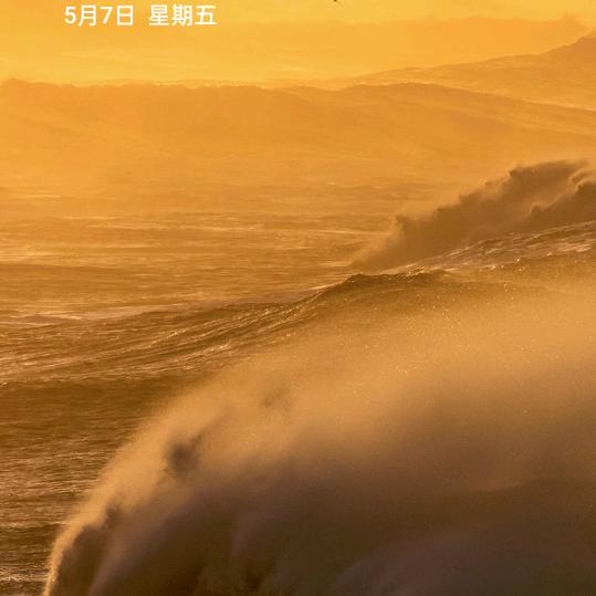 成功路上任我行