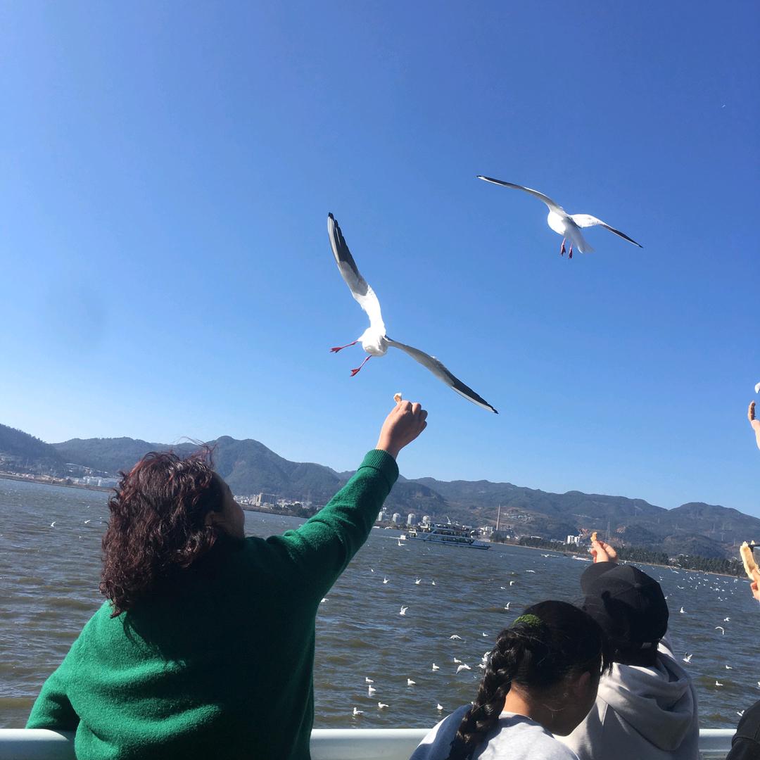 楊姐