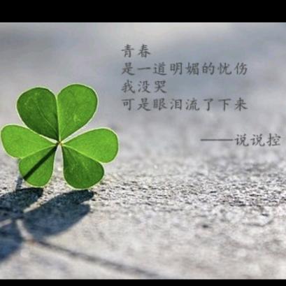 燕🍀子