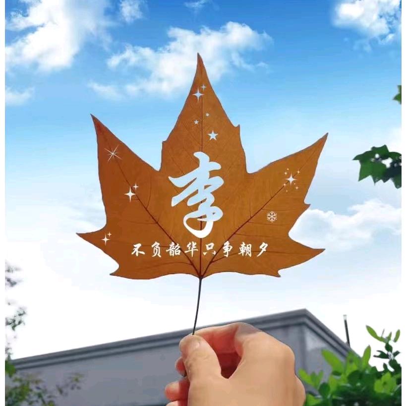 专升本李老师