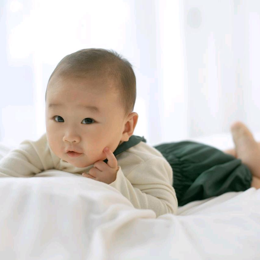 好物分享刘刘