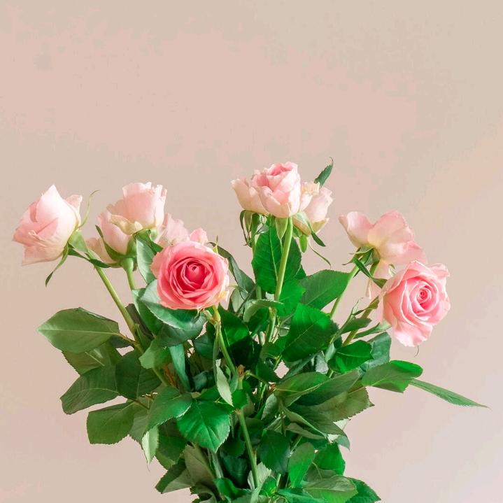 ❤️萌萌佳❤️