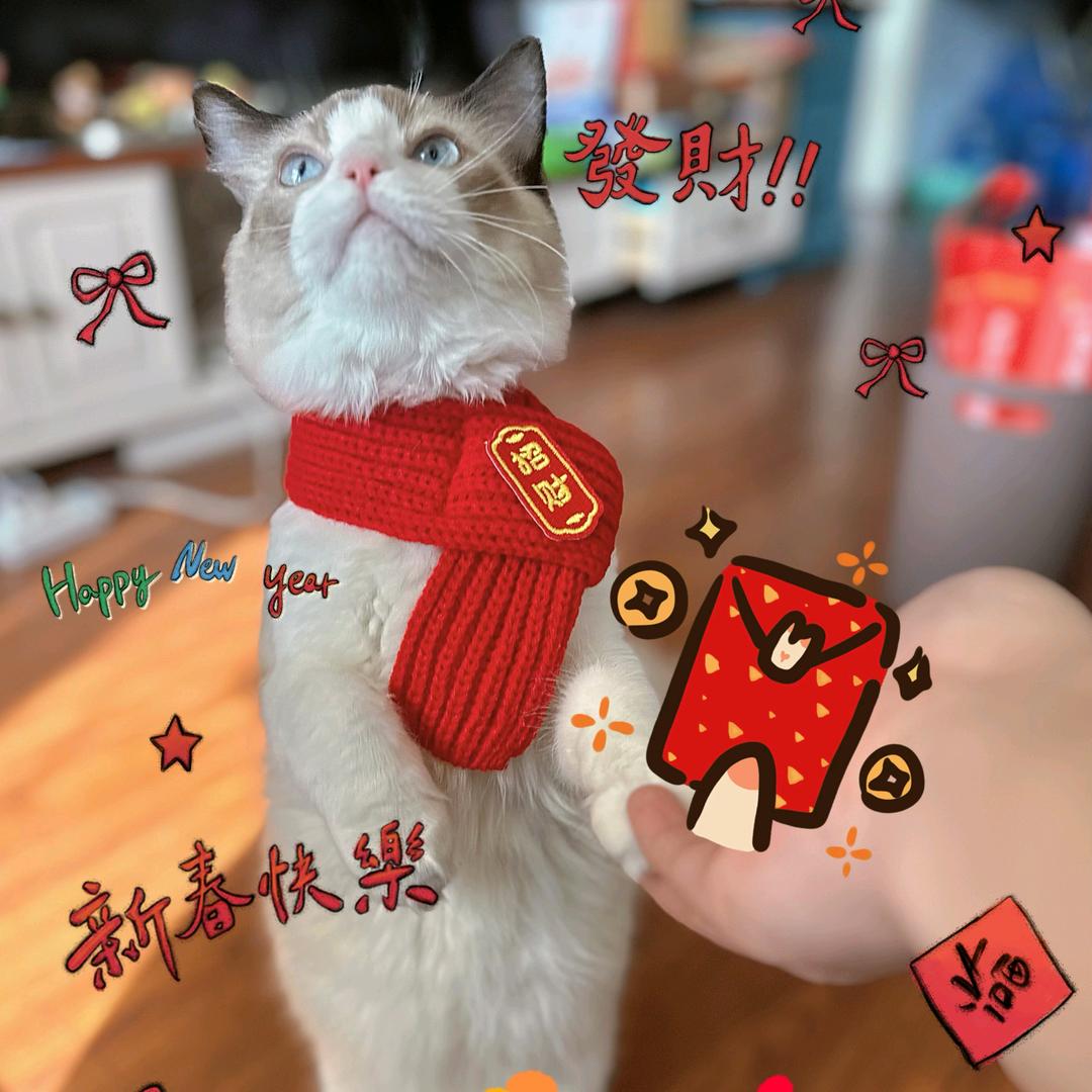 咘咘只喝冰美式☕