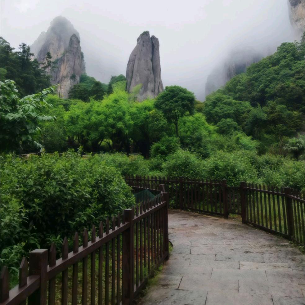 成成