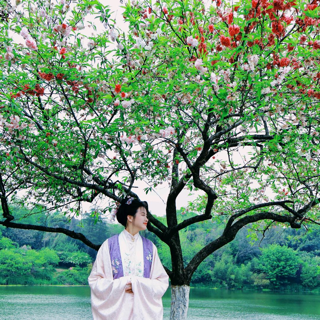 虞美人汉服妆造旅拍