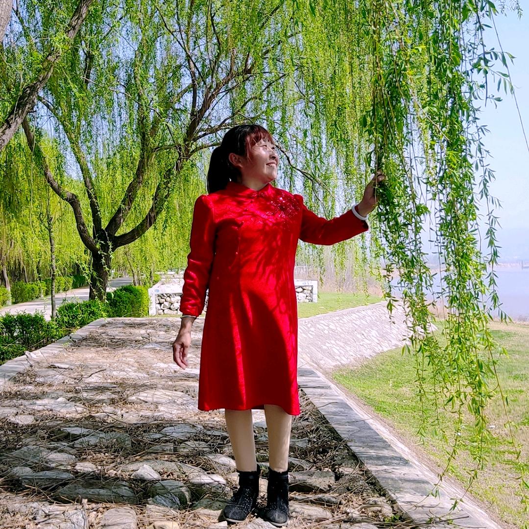 开心果