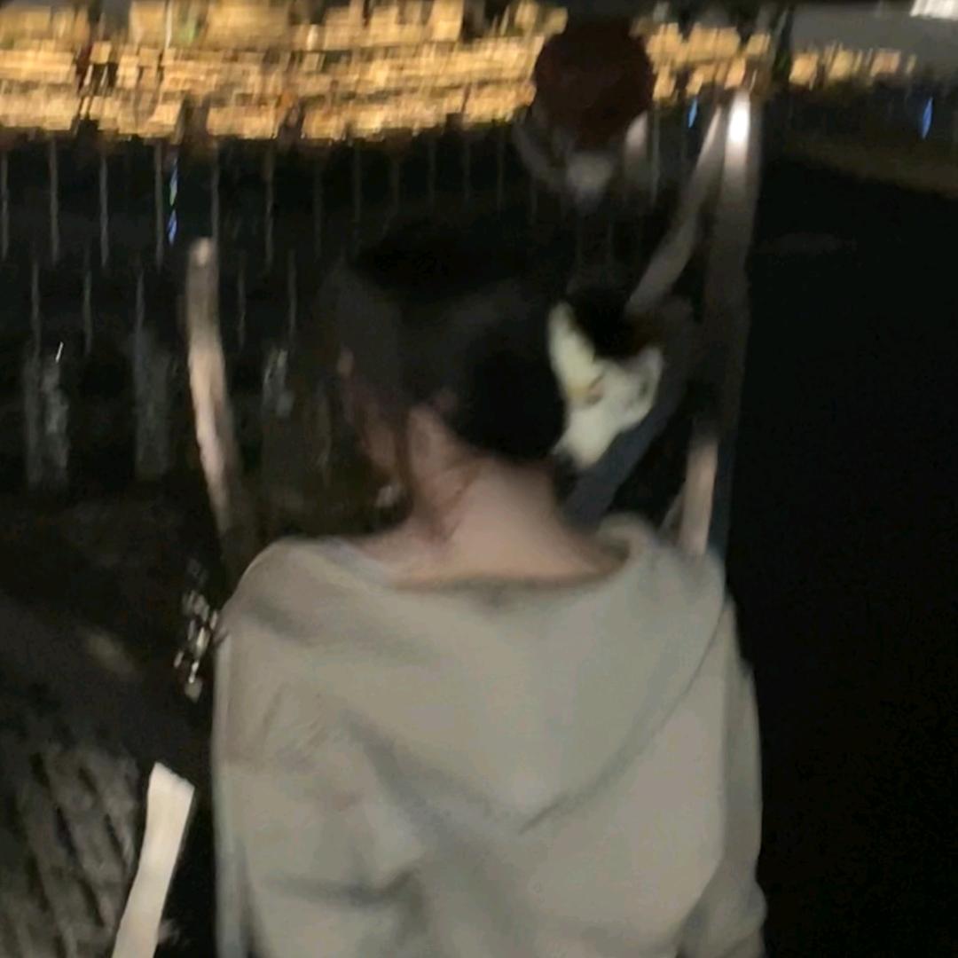 羽辰（北辰蝶舞）