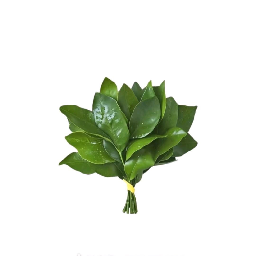 大大怪将军