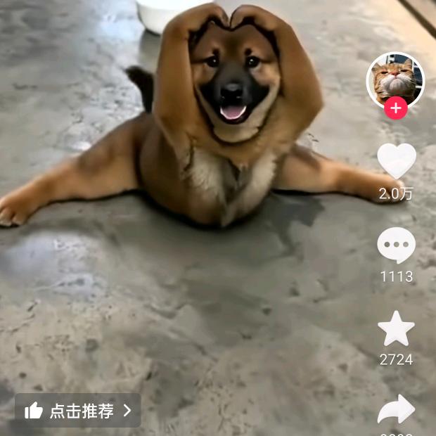 韦❁来@可期
