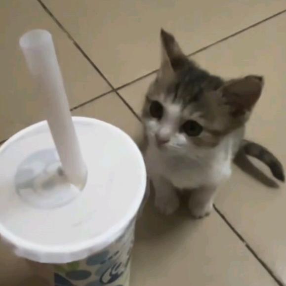 Trick.