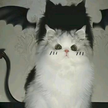 (￣o￣) . z Z