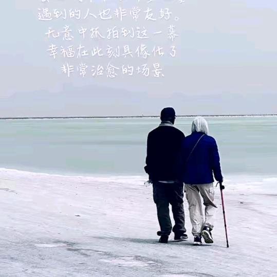 钢丝球