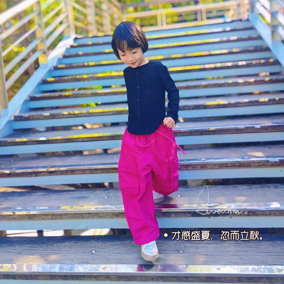 小核桃学中医