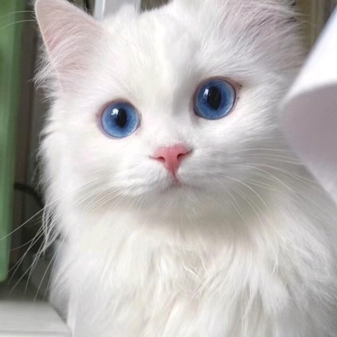 Xz