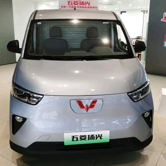 佛山市南海区绿动新能源汽车销售有限公司