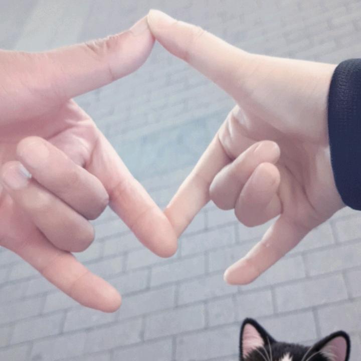 乡愁👻