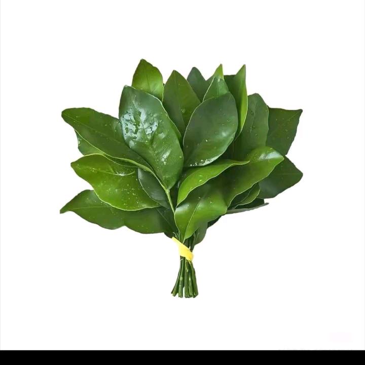 其美