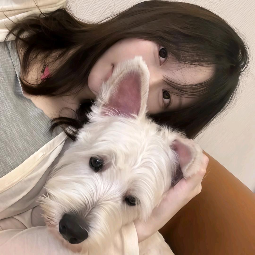 笨蛋少发呆