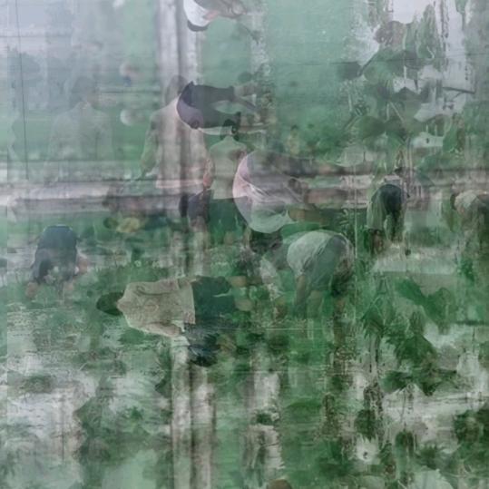 忆往昔