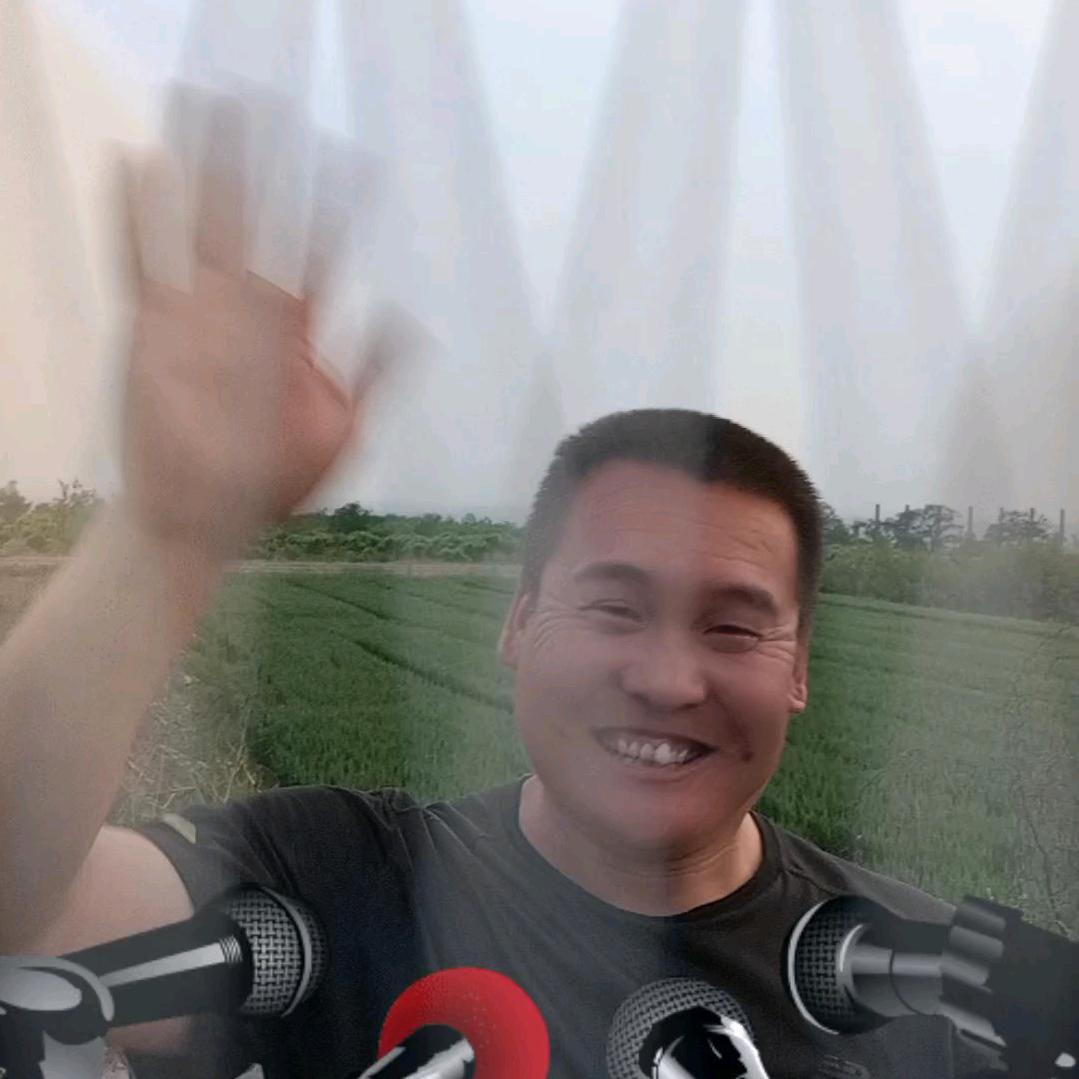 良言未素