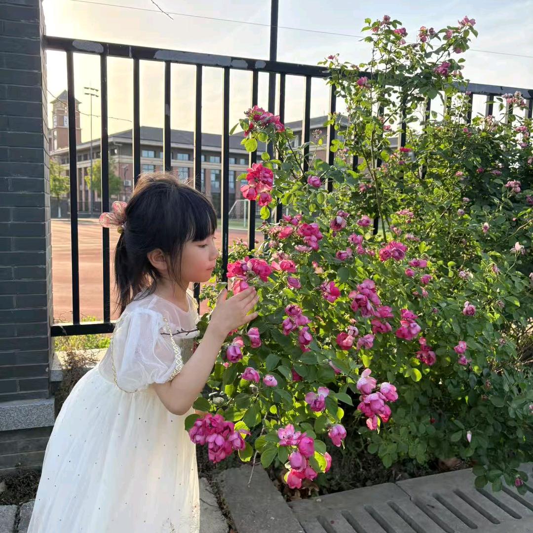 果果奶奶