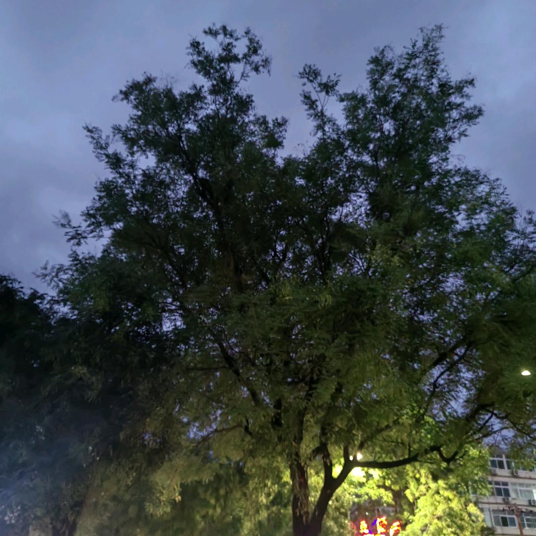 @一鸣乐园（橱窗好物）