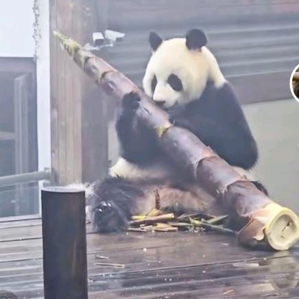 优美生活工作室