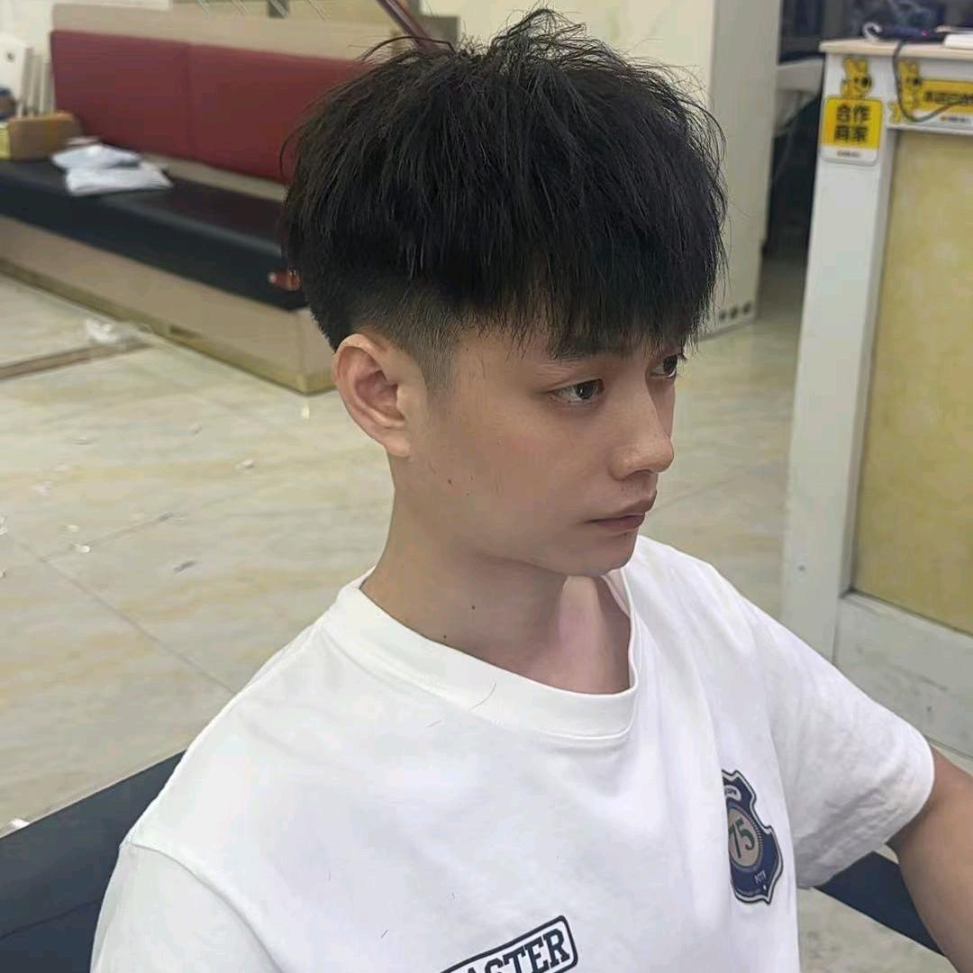 一只豪猪