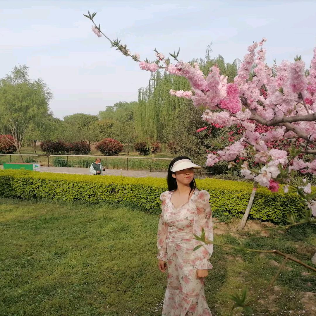 小马