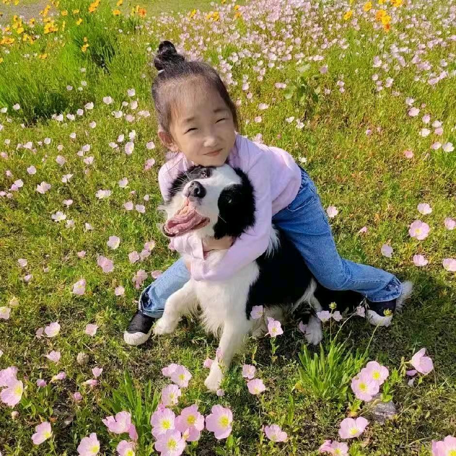 ༺ཎཽཾ郑好遇见你ནཽཾ༻