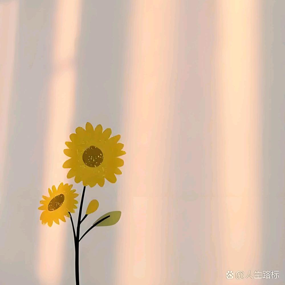 晴小店儿