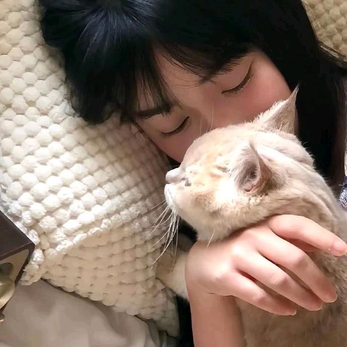 飞百货启