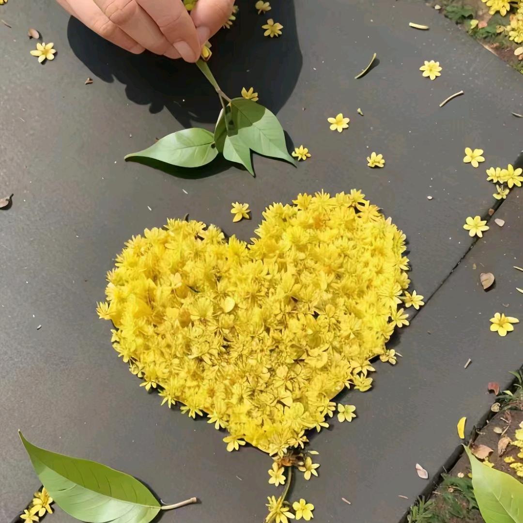 ꧔᭄微笑꧔ꦿ᭄前行꧔ꦿ