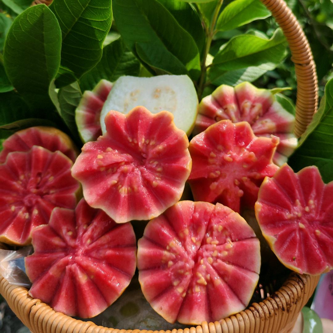 果然如初水果店