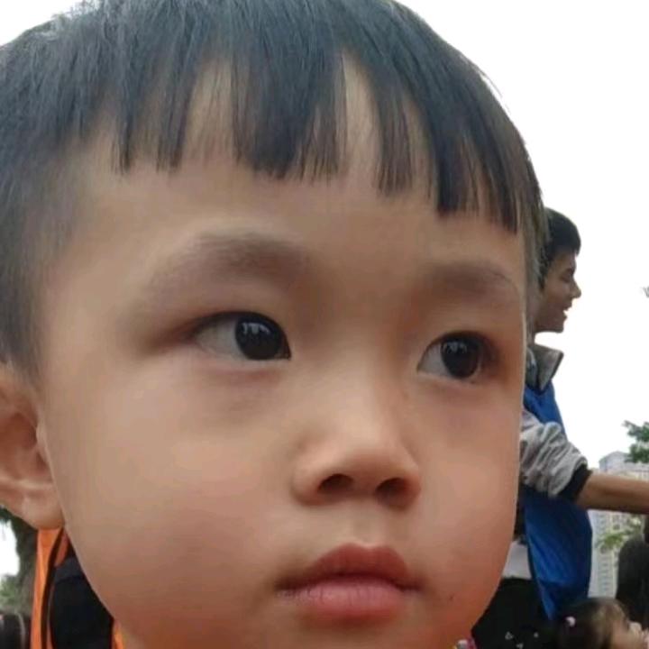 云开见明月