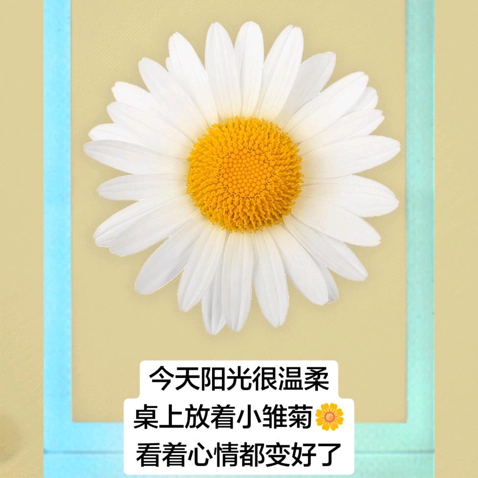 女人味十足师🌱🍃🌳