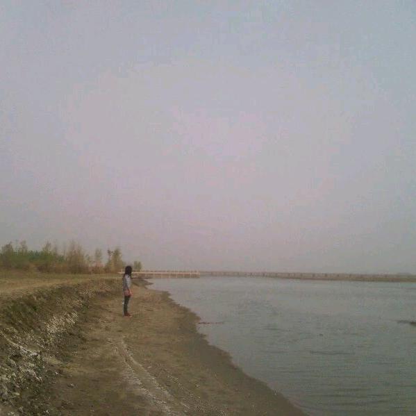 Alin