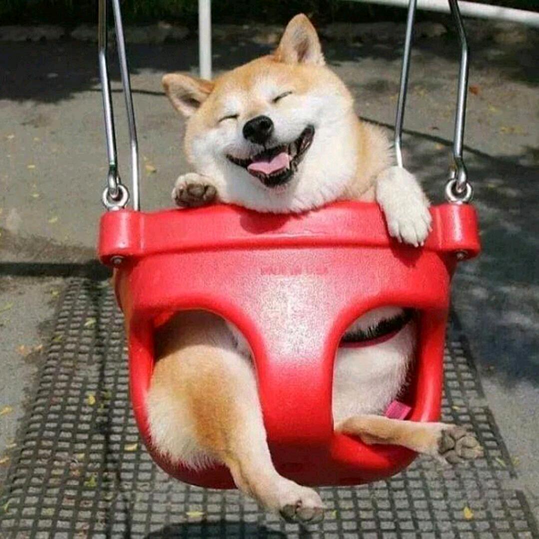 枔