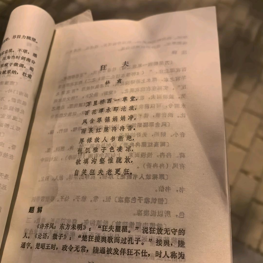 乡野居士