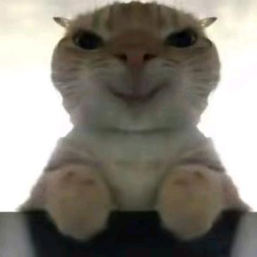 过住云烟。从头开始