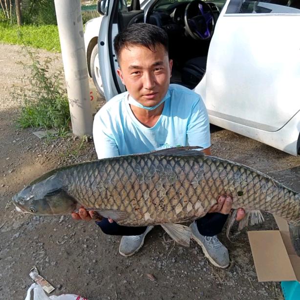 爱钓鱼的空军佬