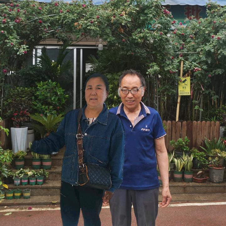 冯氏陶瓷花卉批发