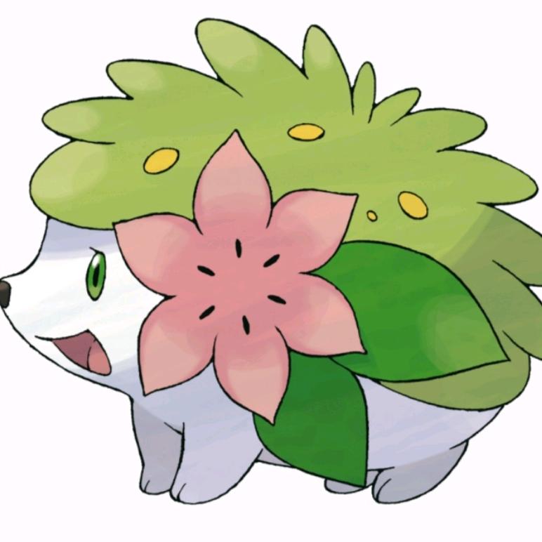 萌新玩家
