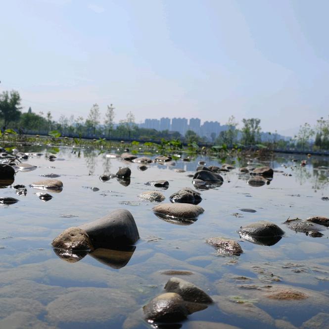 杭州专业防水美缝